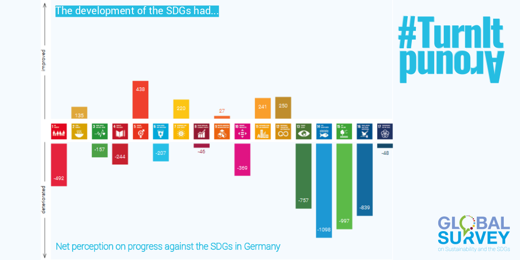 Global Survey On Sustainability And The Sdgs